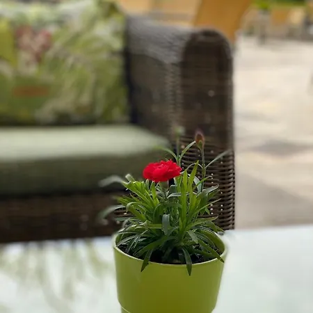 Dienstl Gut Hotel Launsdorf