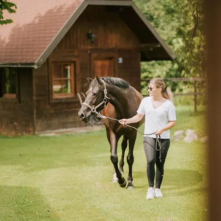 Dienstl Gut Launsdorf