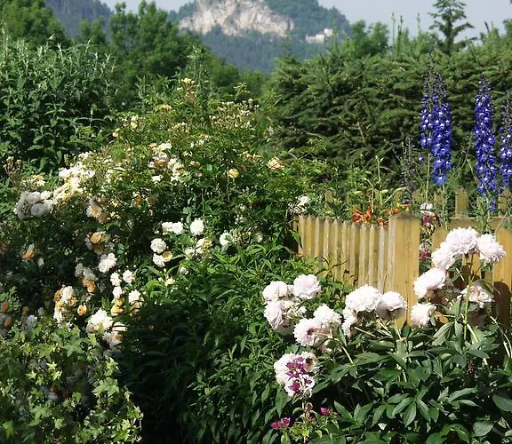 Dienstl Gut 酒店 4*