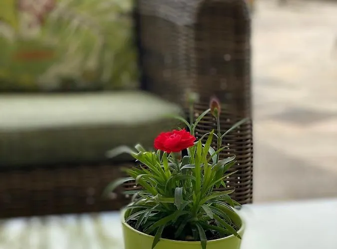 Dienstl Gut Otel Launsdorf